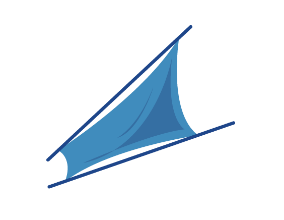 wing L