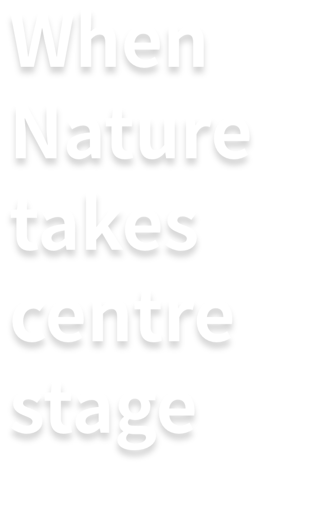 When Nature takes 
centre stage