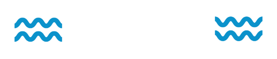 Group 29