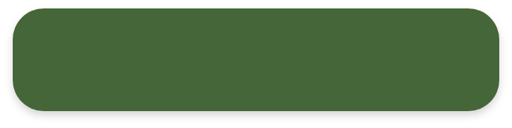 Rectangle 19