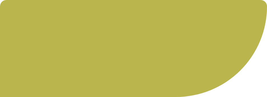 Rectangle 78