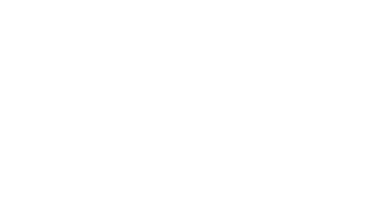 Chasing 
down 
the rabbit 