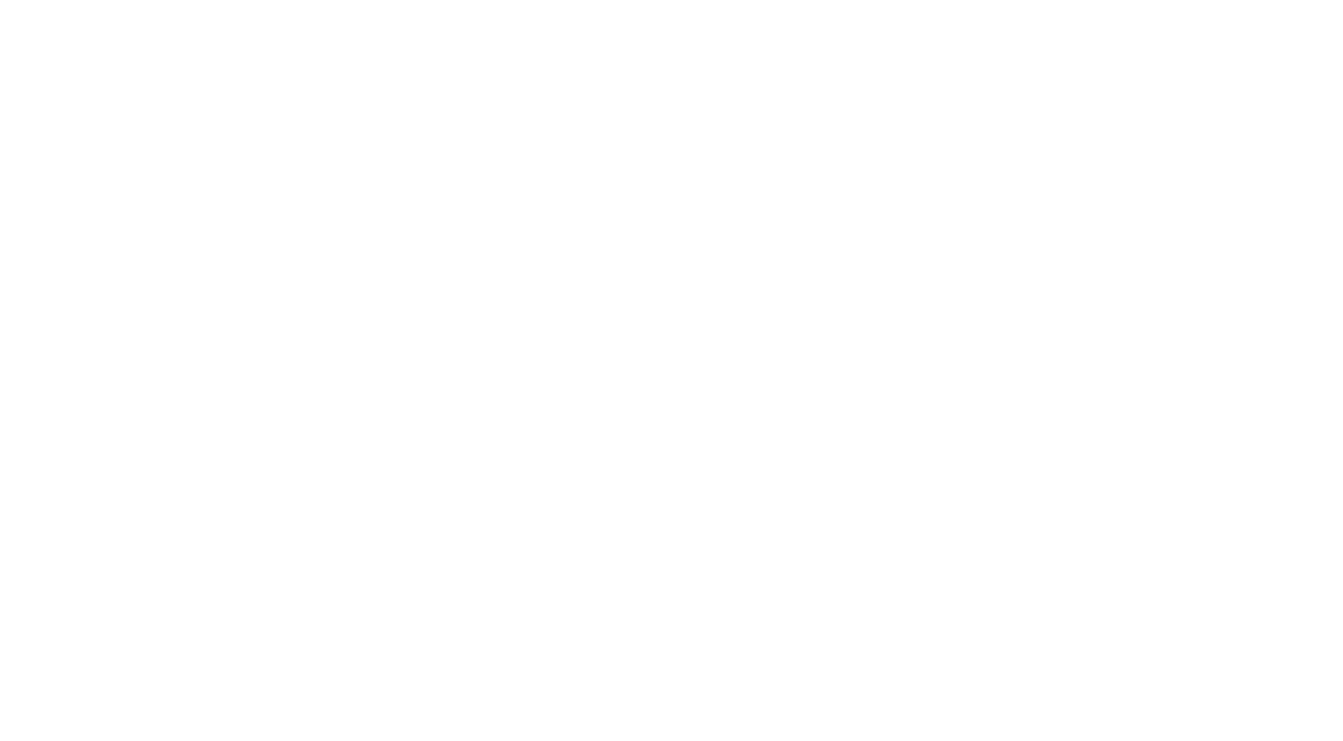 Chasing 
down 
the rabbit 