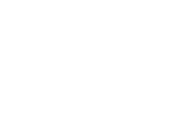 Quando um solitrio pirilampo se aventura noite dentro  procura de outros pirilampos,  atrado por uma lanterna, uma vela, e at pelos olhos de um co, um gato e de uma coruja, todos a brilhar na escurido. Mas no  isso que procura. Ser que vai finalm