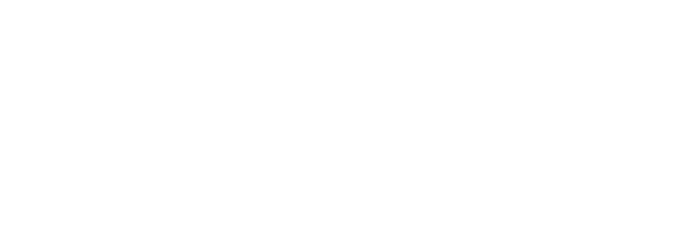 Quando um solitrio pirilampo se aventura noite dentro  procura de outros pirilampos,  atrado por uma lanterna, uma vela, e at pelos olhos de um co, um gato e de uma coruja, todos a brilhar na escurido. Mas no  isso que procura. Ser que vai finalm