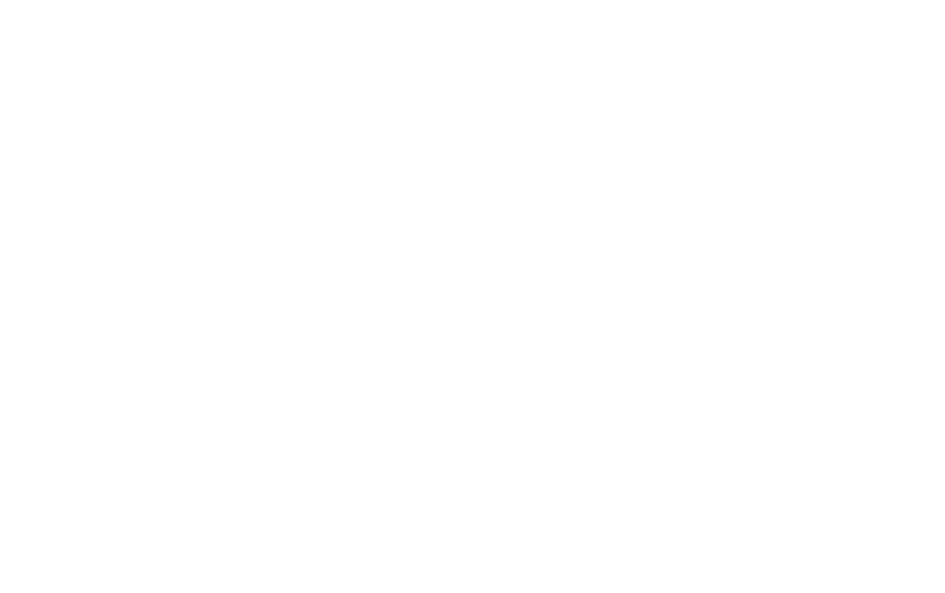 Fundado em 2000, LArpeggiata  um agrupamento notvel formado por msicos que constituem alguns dos principais solistas instrumentais da actualidade no mundo da msica antiga. Sob a liderana de Pluhar, o agrupamento mantm fortes laos de colaborao com