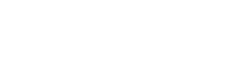 Synopsis 