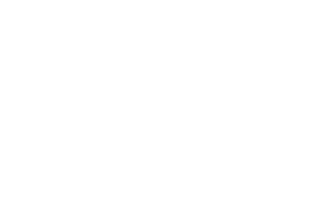 06-08.09.2024
	 20:00
	 15:00 / 20:00
	 11:00 / 15:00
