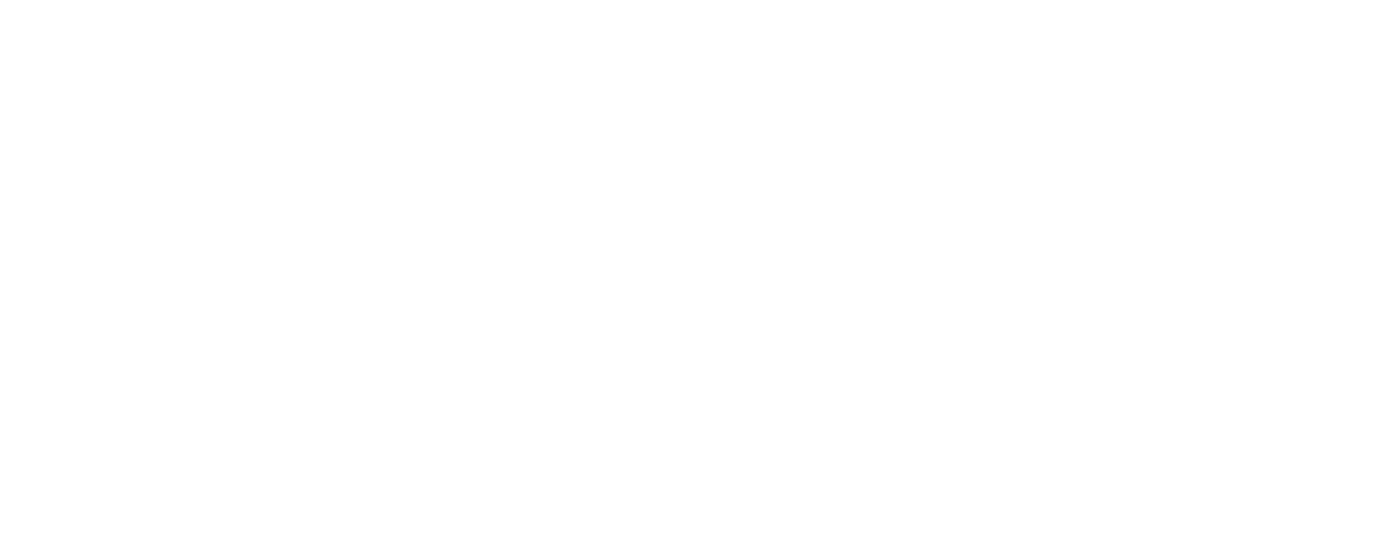 1980LicedeiAsissai1991Licedei

1993

