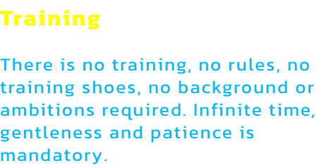 Training

There is no training, no rules, no training shoes, no background or
ambitions required. Infinite time, gentleness and patience is
mandatory.