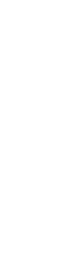 Was born in a small town called Novosil, in the Orlovskiy region of Russia, on June 12th, 1950. Following school, he moved to Leningrad where he began to study the art of mime on his own while attending the Institute of Culture in Leningrad. Through comic 