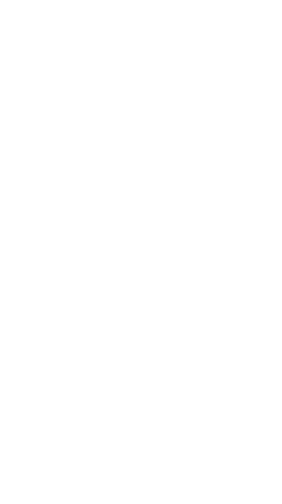 Como enormes pontes que ligam a nossa memria colectiva, venham de onde vierem, estas histrias resistiram  passagem do tempo, transmitidas ao pblico de todas as idades. A representao do mundo mgico de Joo pelo Teatro Hikosen, atravs de marionetas g