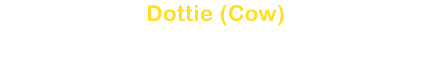 Dottie (Cow)
Nishigaki Kazuya / 
Nojiri Masato