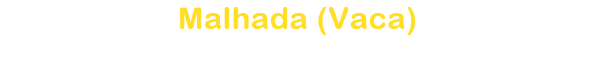 Malhada (Vaca)
Nishigaki Kazuya / Nojiri Masato