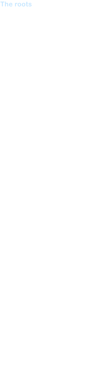 The roots
From the bustling streets and squares to the rings, giant tents and arenas, and from there to the stage, circus has been enchanting wide audiences throughout the ages. Back in the day of the Roman Empire, it used to be a violent place, an enormou