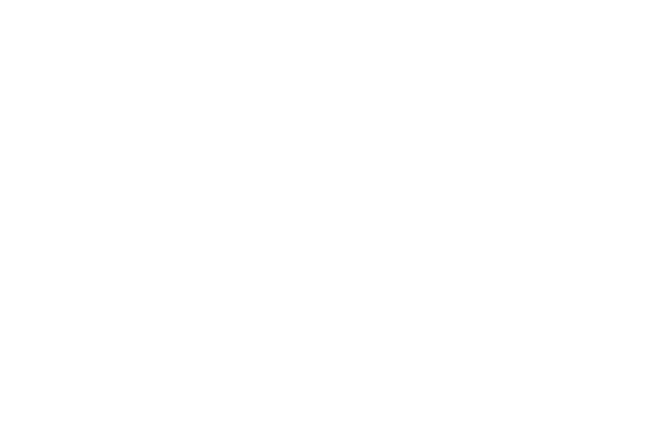 Ultrapassando os limites da sua forma tradicional, o circo contemporneo  definido como uma arte relativamente recente que refina uma srie de disciplinas fsicas, fundindo-as frequentemente com uma diversidade de expresses artsticas, da pera  msica 
