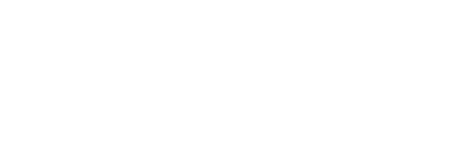 Founded in 1995, Cirkus Cirkr is the most prominent circus company in the Nordic region today. The Companys umbrella covers performances on tour in Sweden and the world, courses and educational programmes for all ages, an upper secondary school for circu