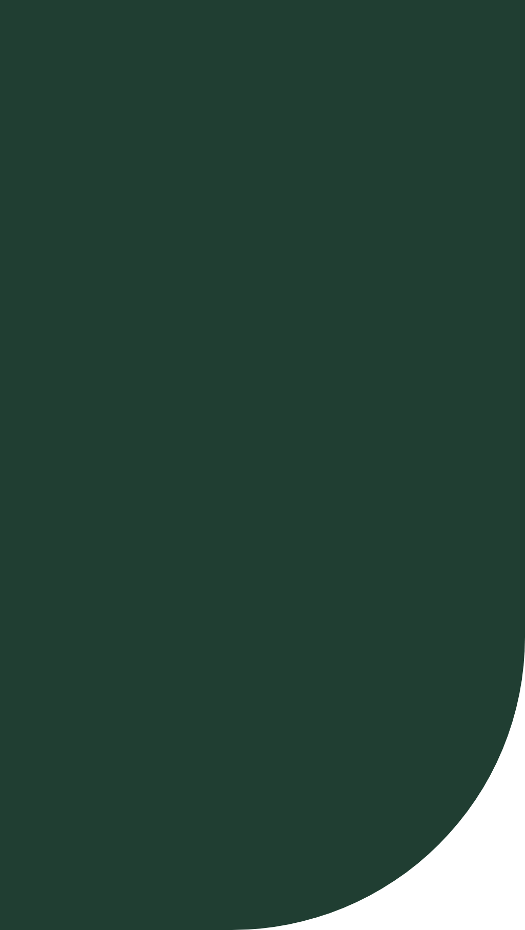Rectangle 38