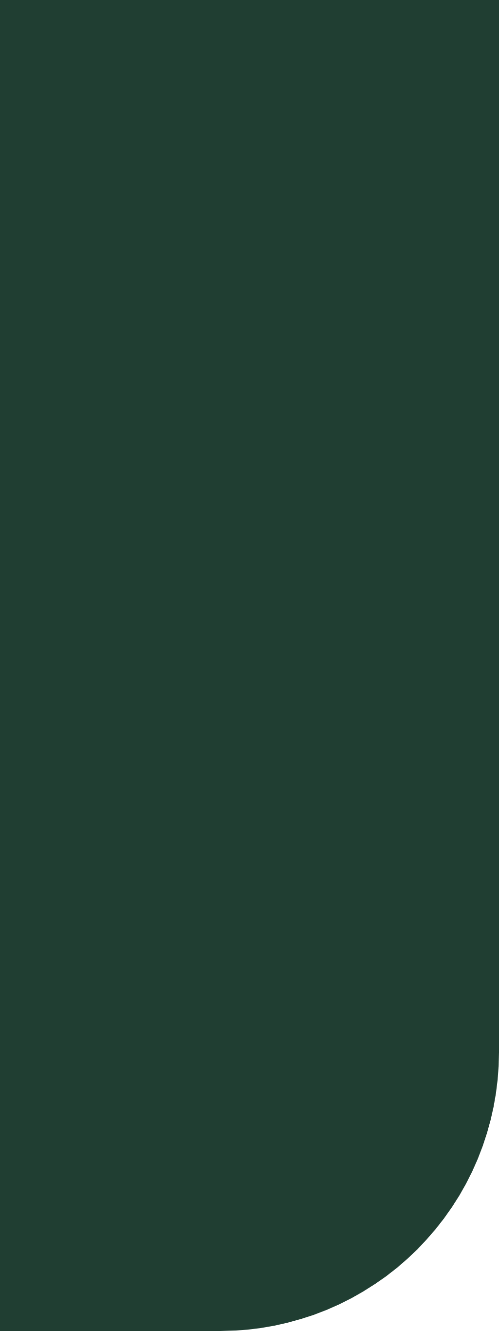 Rectangle 48