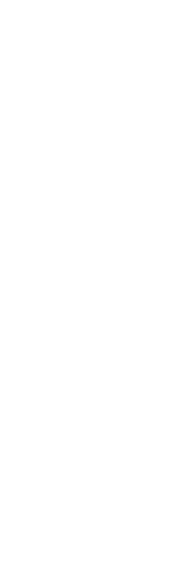 In 2003, he co-founded Mundo Perfeito with the innovative theatre producer Magda Bizarro. Over the next 11 years, he created and presented approximately 30 productions in more than 20 countries. A frequent guest at international events, from the Paris Autu