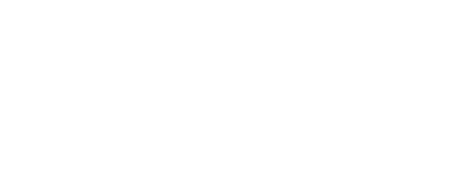 Tiago Rodrigues 
A cross-boundary 
storyteller 