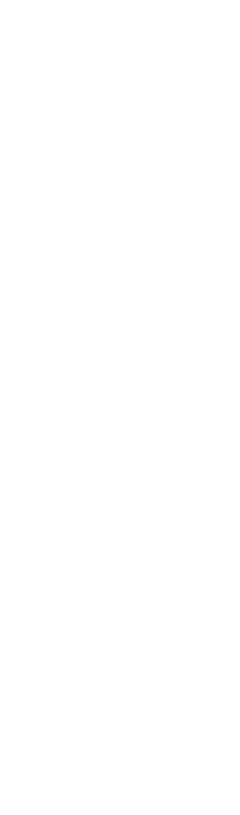 Em 2003, fundou a companhia Mundo Perfeito, em parceria com a inovadora produtora de teatro Magda Bizarro. Nos 11 anos seguintes, criou e apresentou cerca de 30 produes em mais de 20 pases. Frequentemente convidado para eventos internacionais, do Festiv