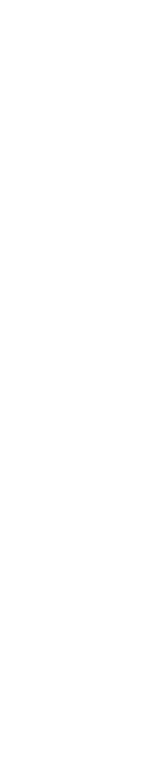 1906