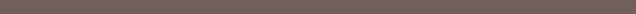 Rectangle 81